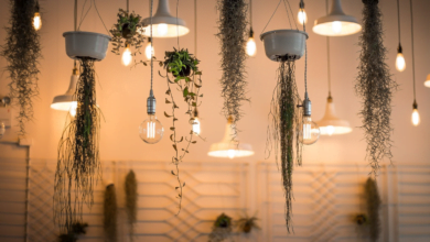 17 Leading Interior Design Studios in the United States